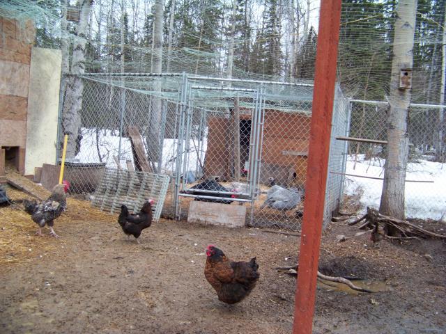 46125_100_0802.jpg