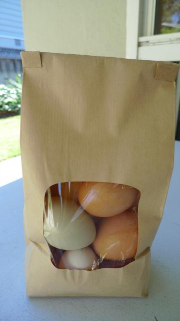 46172_egg_bag_001.jpg