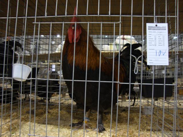 46277_410.jpg