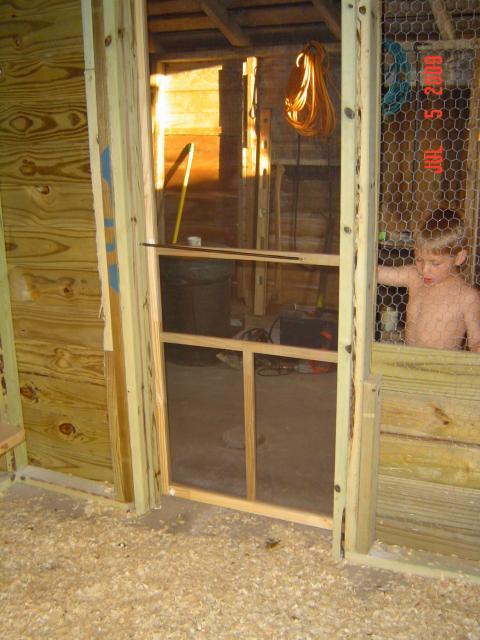 46277_chickens_138.jpg