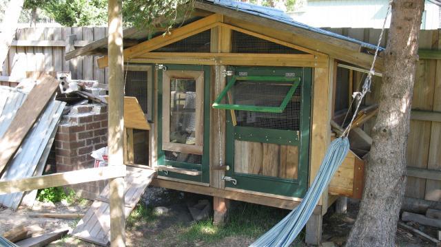 46363_chook_shack_001.jpg