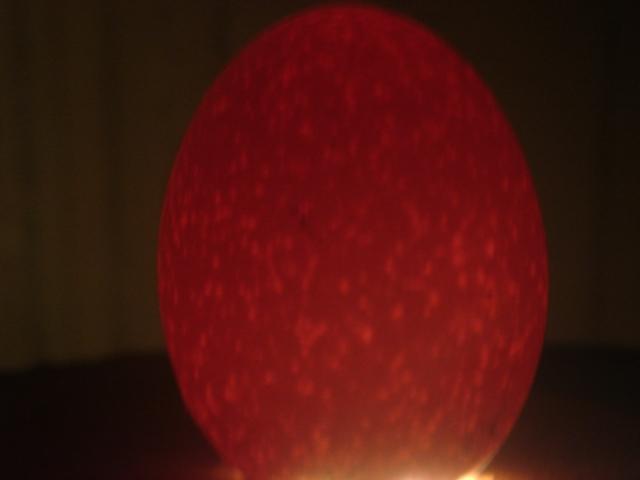 46409_dsc03323.jpg