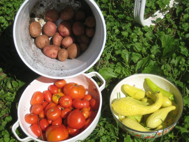 46457_garden_008.jpg
