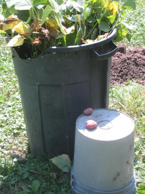 46457_garden_015.jpg
