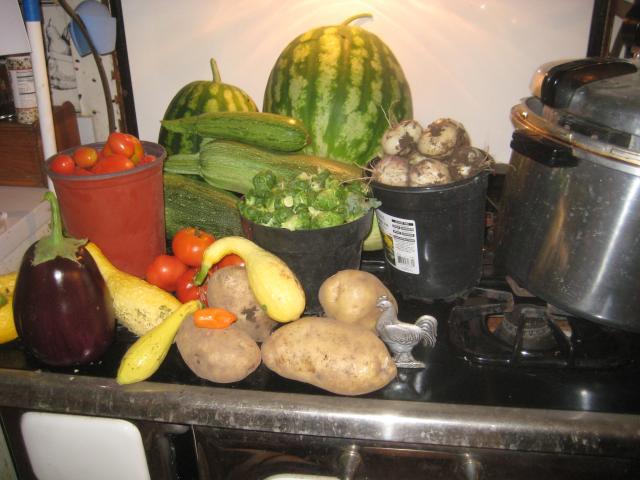 46457_garden_026.jpg