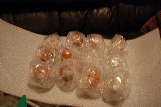 46537_eggs_010.jpg