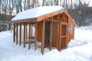 46537_feb_snowfall_2010_005.jpg