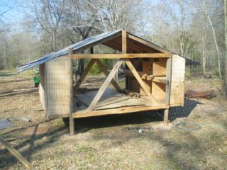 46540_imgp0778.jpg