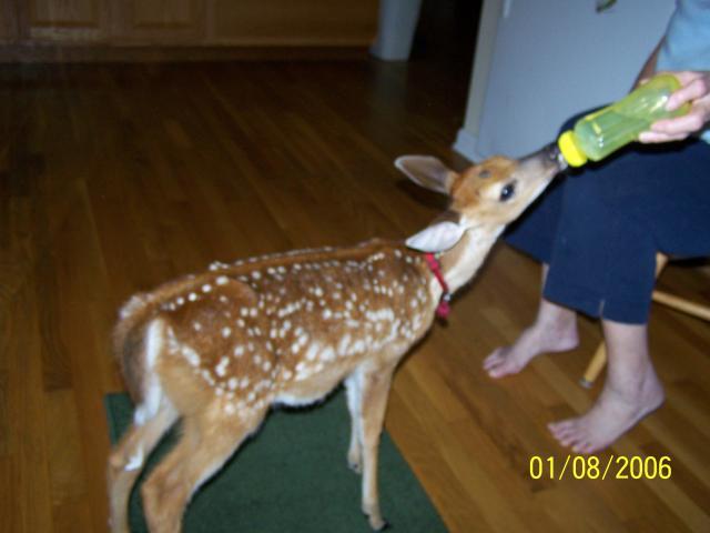 46573_005.jpg