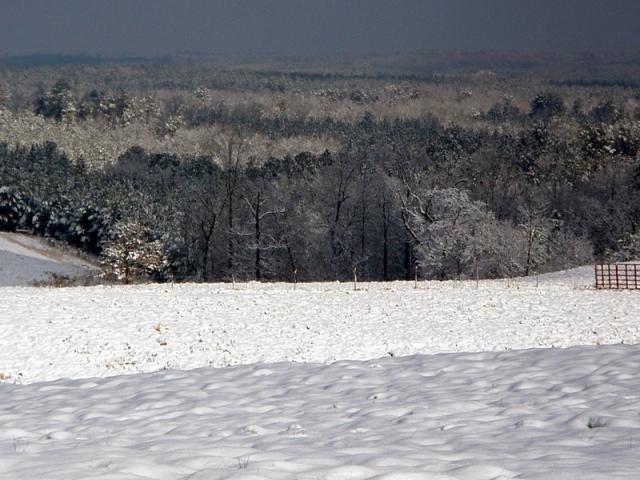 46722_p2130029.jpg