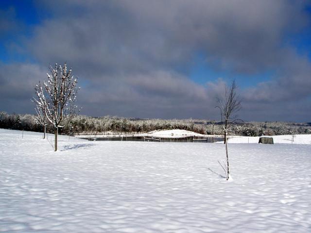 46722_p2130037.jpg