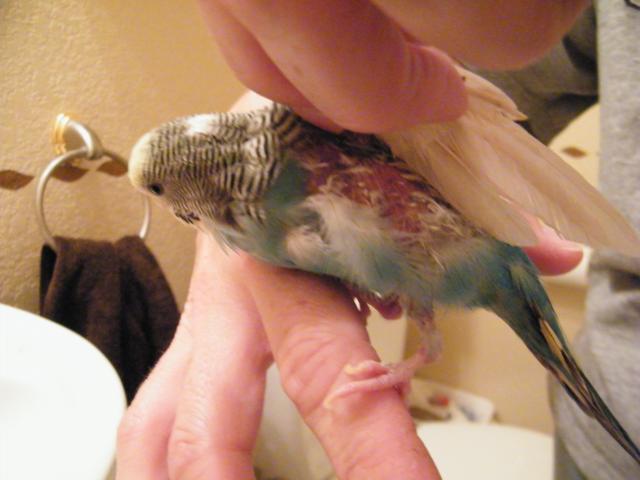 46766_dscf2717.jpg