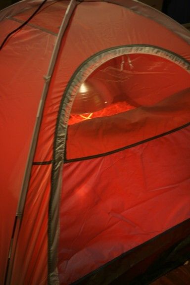 46776_chicks_tent1.jpg