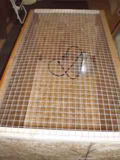 46815_brooder_02.jpg