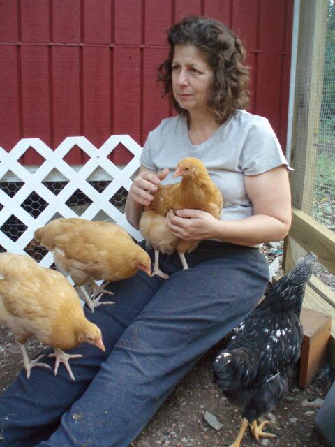 46815_chickencuddle_05.jpg