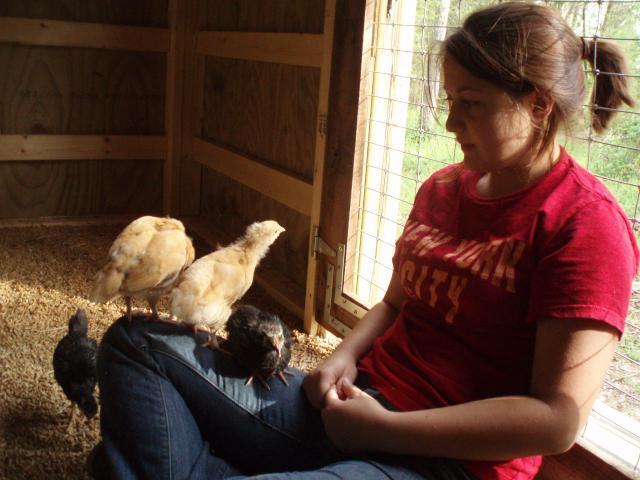 46815_chickenwhisperer.jpg