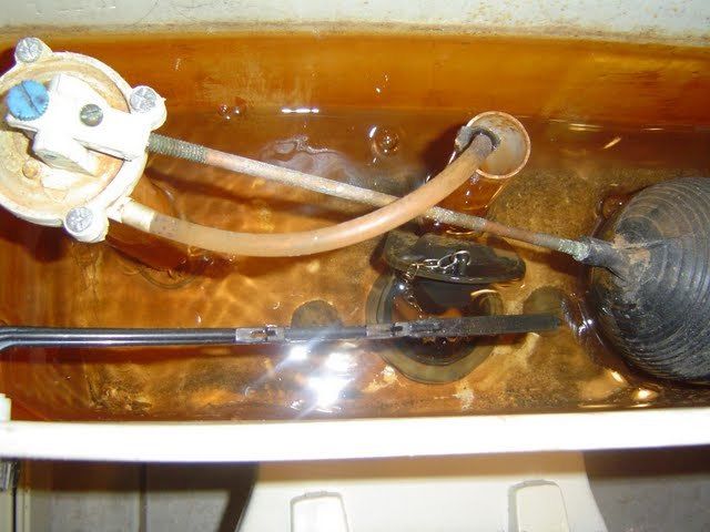 46869_toilet_flapper_2.jpg
