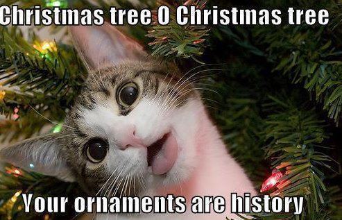 46870_christmas_tree_kitty.jpg