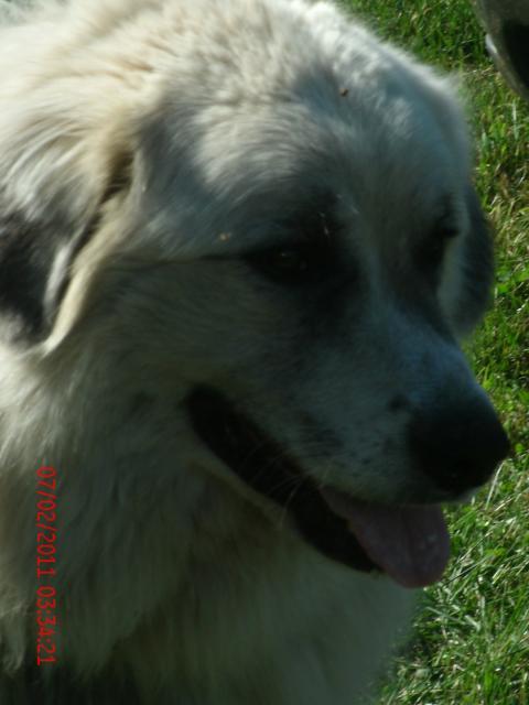 46870_gedc0074.jpg