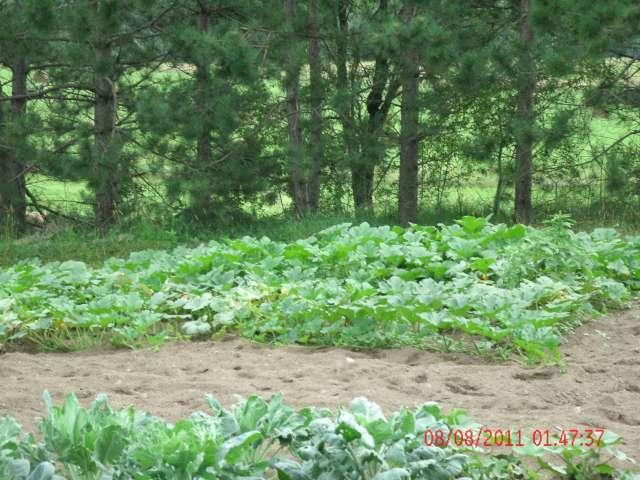 46870_gedc0258-640.jpg