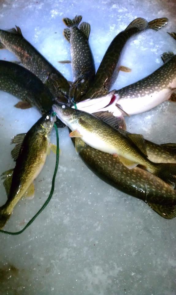 46870_new_years_eve_fish_2011.jpg