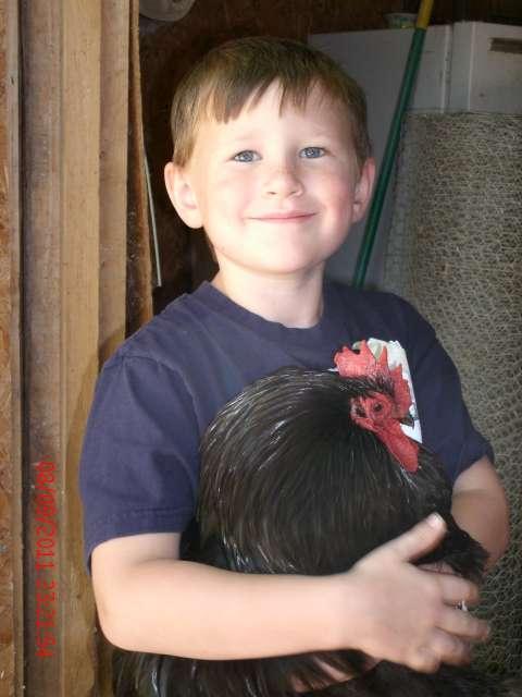 46870_nicandharley.jpg