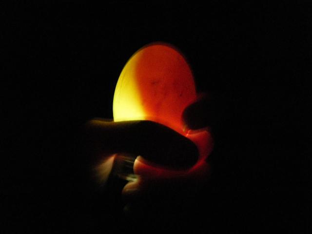 46931_dscf1780.jpg