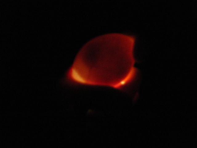 46931_dscf1781.jpg
