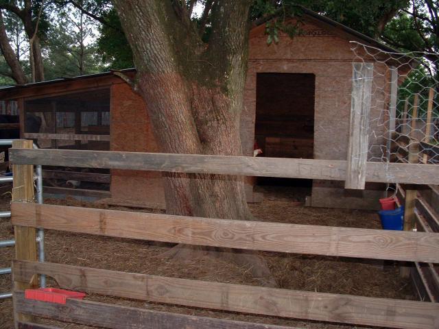 46932_goat_paddock.jpg