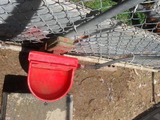 47039_3r2.jpg