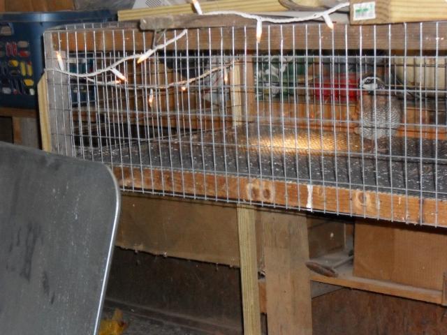 47039_sdc10753.jpg
