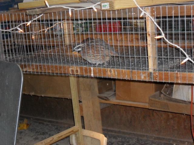 47039_sdc10754.jpg