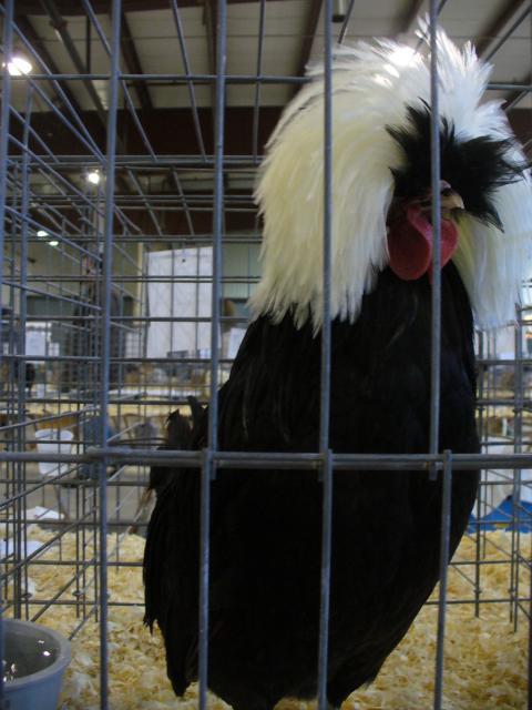 47159_p1030234.jpg