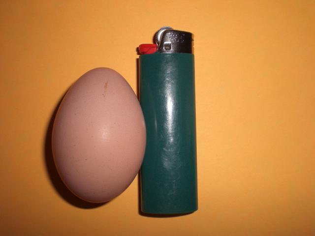 47389_003.jpg