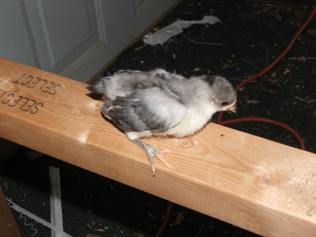47455_246.jpg