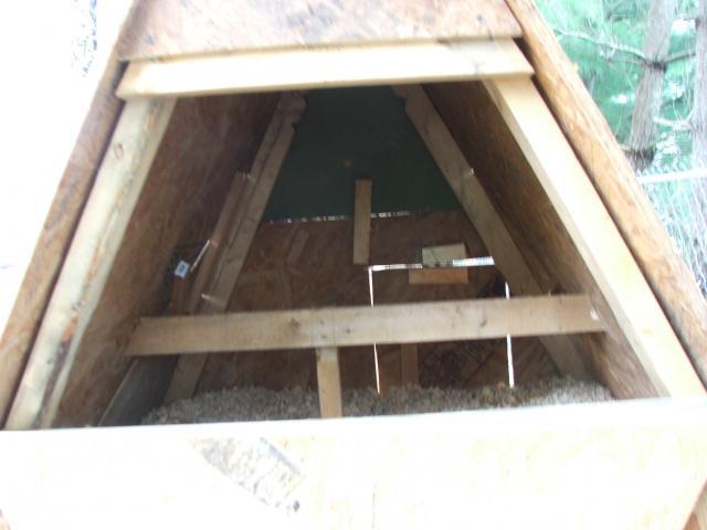 47455_egg_door.jpg