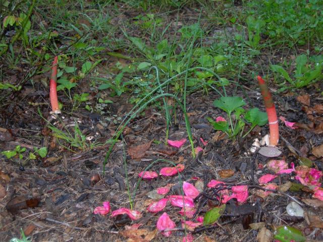 47652_dscn1629.jpg