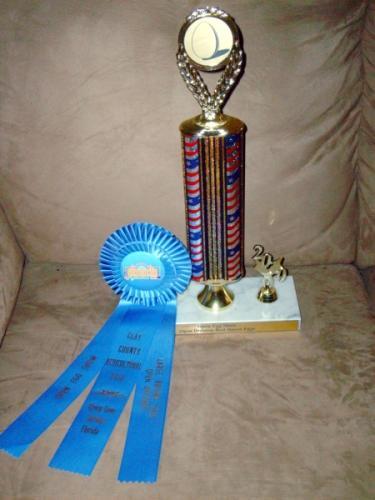 47689_eggtrophy.jpg