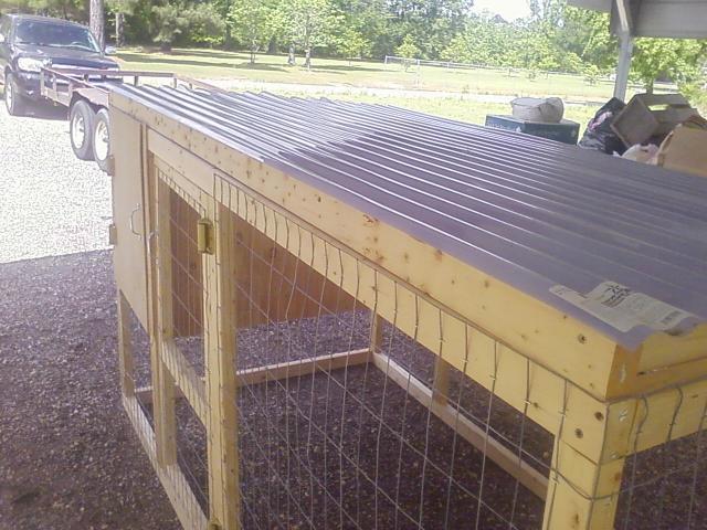 47716_backyard_coop_6.jpg