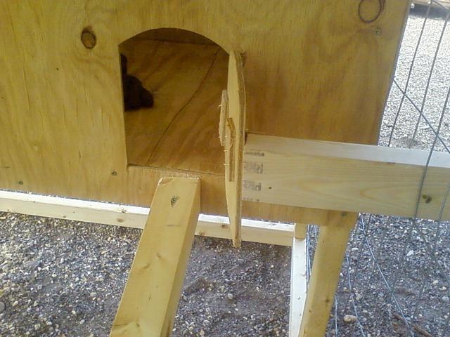 47716_backyard_coop_8.jpg