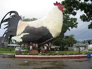 47849_liveable_chicken.jpg