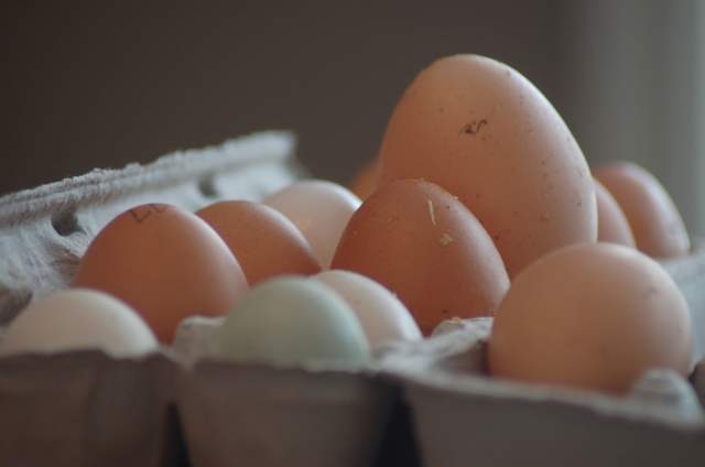 4785_eggs_2009_007.jpg