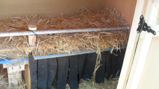 47860_sdc10573.jpg