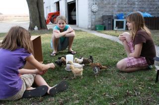 47976_chicks_with_chicks_2.jpg