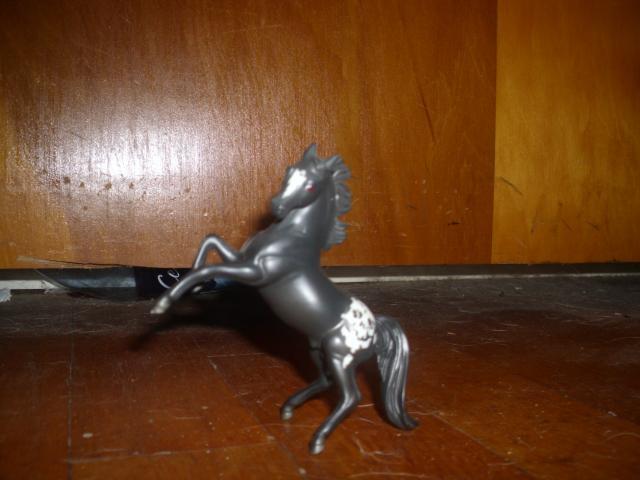 48043_dsci0404.jpg