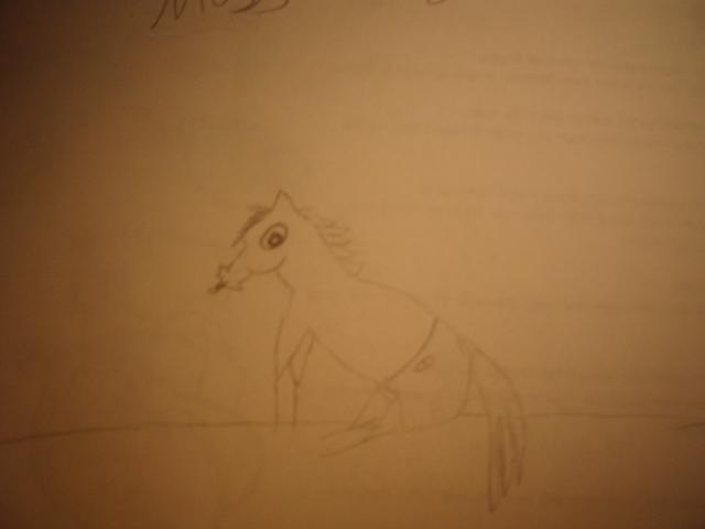 48043_dsci0436.jpg
