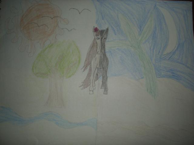 48043_dsci0566.jpg