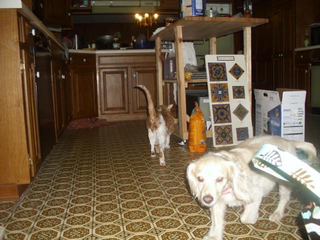 48043_dsci0644.jpg