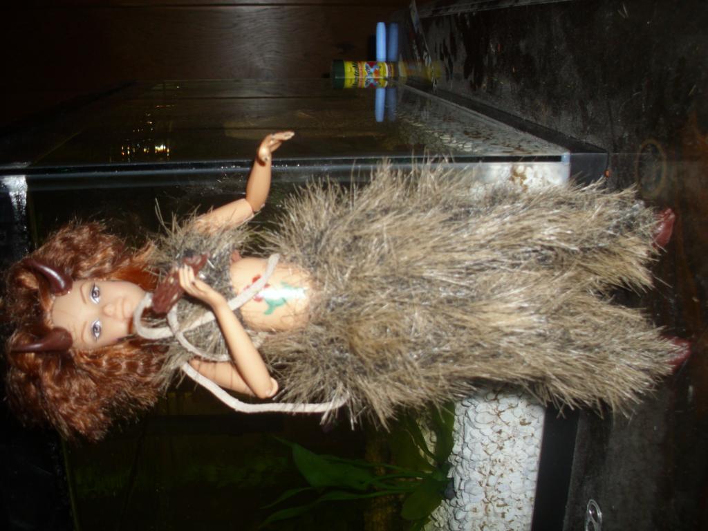 48043_dsci0866.jpg