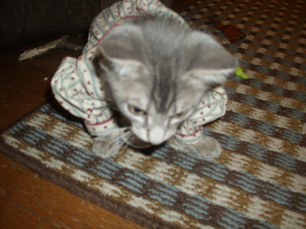 48043_dsci0938.jpg